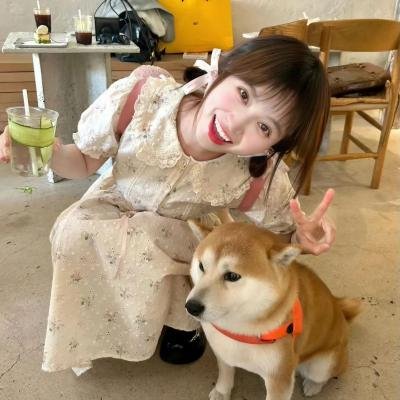 我们曾经爱过的一切